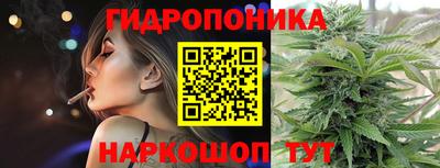 скорость Пугачёв