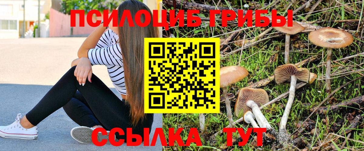 Псилоцибиновые грибы Cubensis Жигулёвск