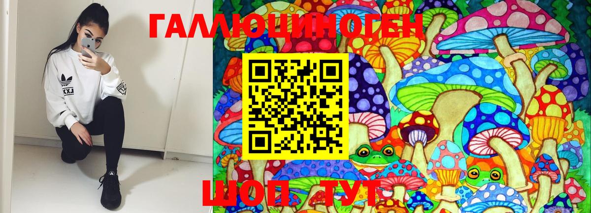 магазин    Вход с VPN  Жигулёвск  Псилоцибиновые грибы прущие грибы 